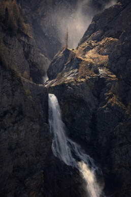 Cascade surplombée par un sapin isolé dans les Alpes bernoises