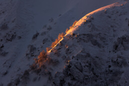 Crête vosgienne éclairée par le soleil du matin en hiver
