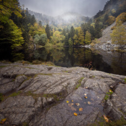 Lac Vosgien en automne avec un premier plan rocailleux
